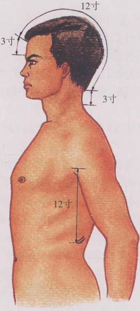 圖3 經(jīng)穴的定位方法(三)